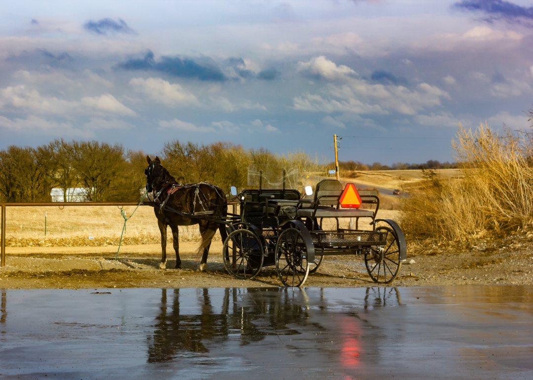 Warmest and Coldest January in Davis County, Iowa History Stacker