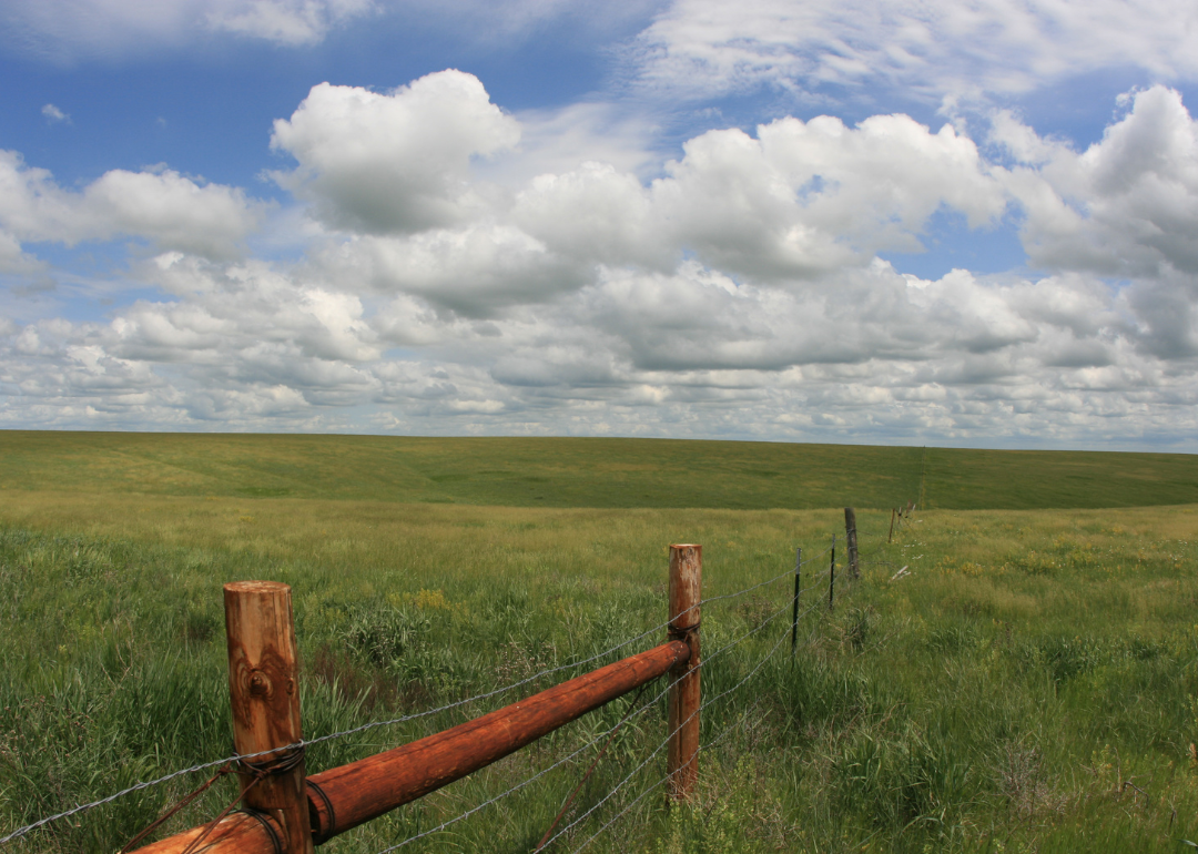 Warmest and Coldest January in Jones County, South Dakota History Stacker