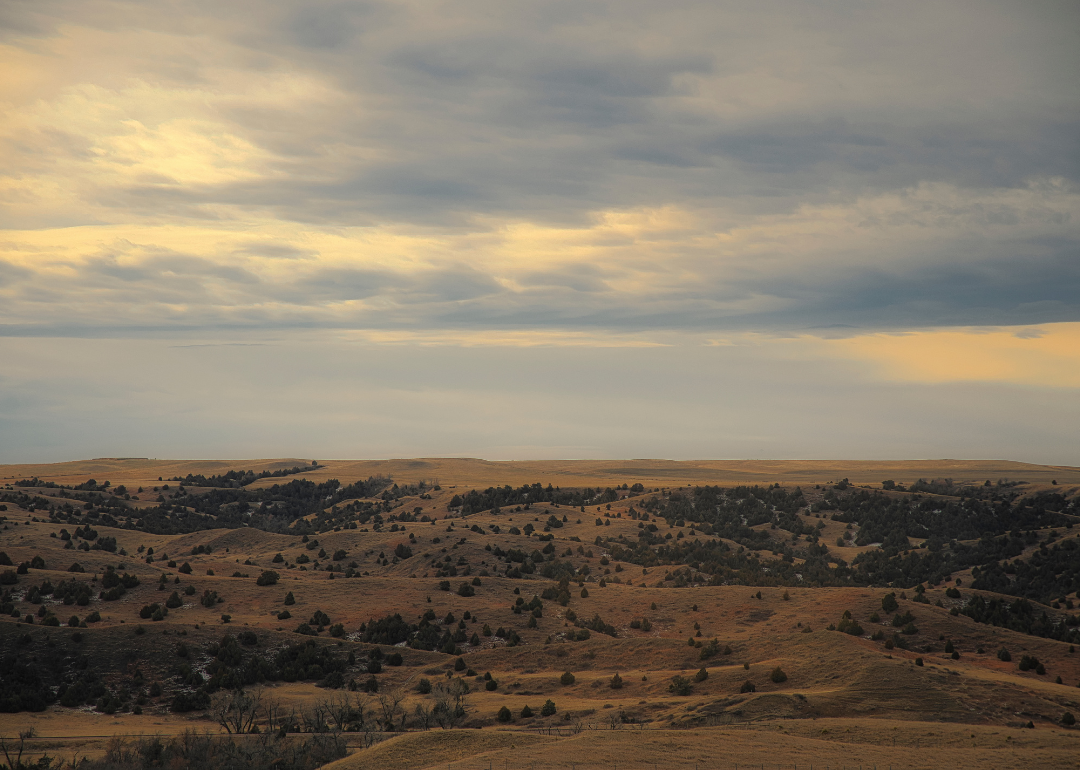 Warmest and Coldest January in Sully County, South Dakota History Stacker