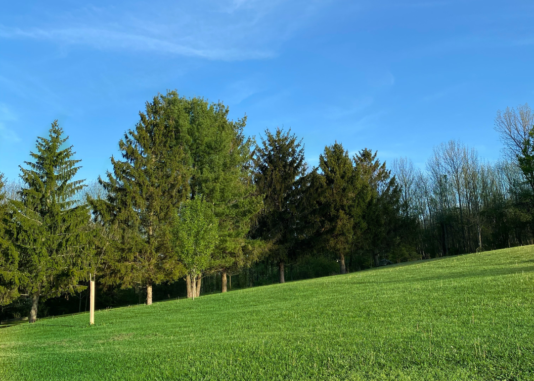 Warmest and Coldest January in Chenango County, New York History | Stacker