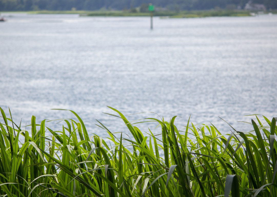 January weather south carolina