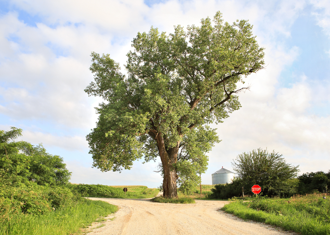 Counties With the Lowest Cost of Living in Iowa Stacker