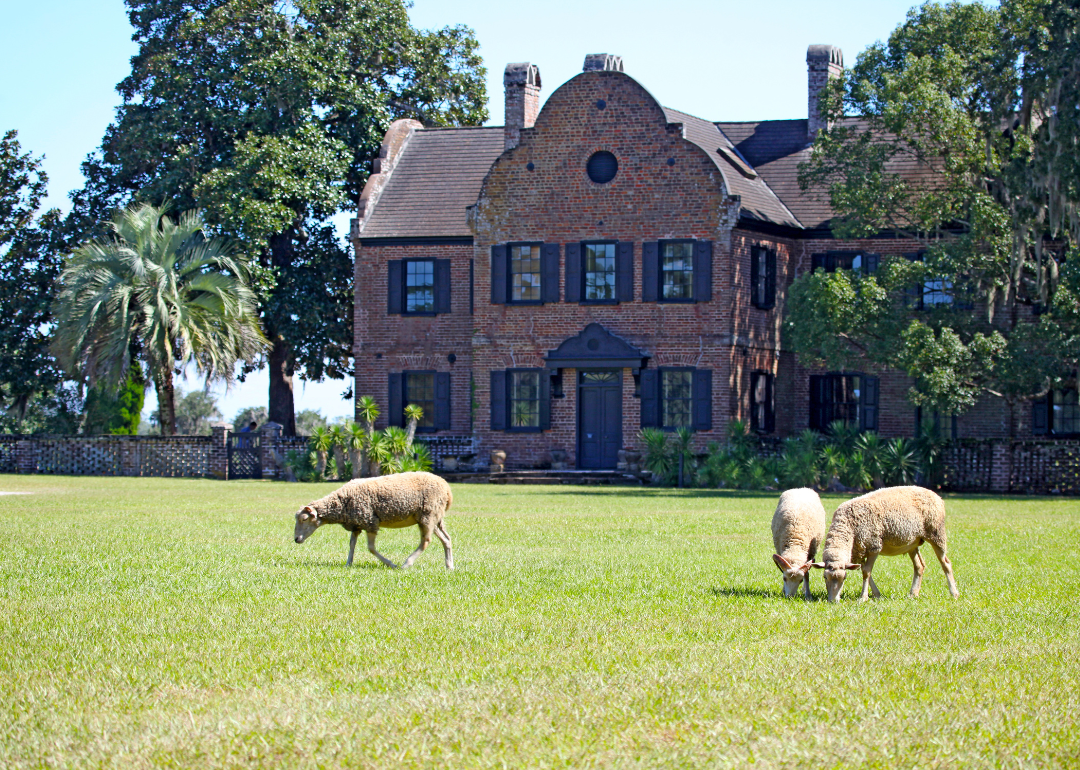 Warmest and Coldest January in Dorchester County, South Carolina