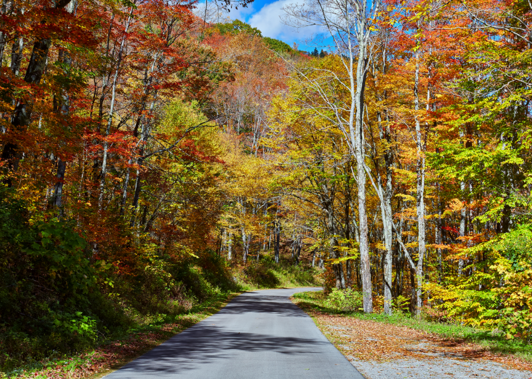 Warmest and Coldest January in Wyoming County, West Virginia History