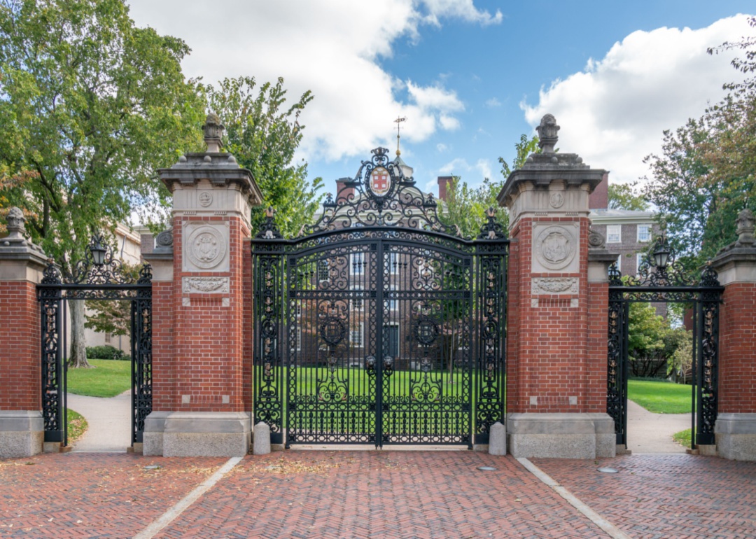 How Ivy League Endowments Have Grown Over the Past Two Decades EDsmart