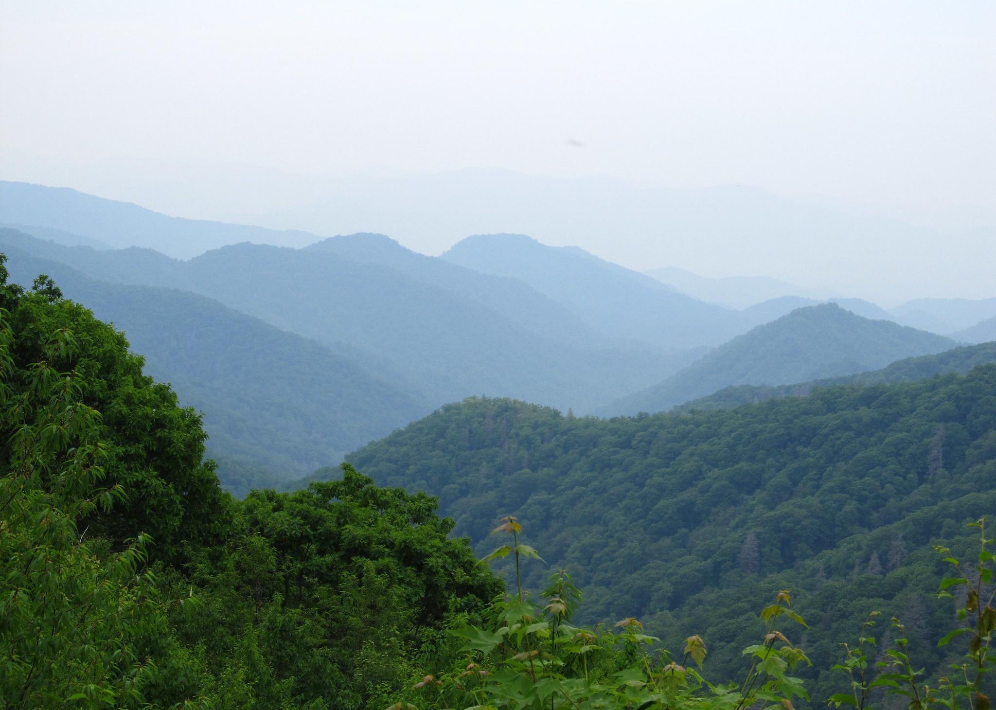 See How Much Land in North Carolina is Owned by the Federal Government