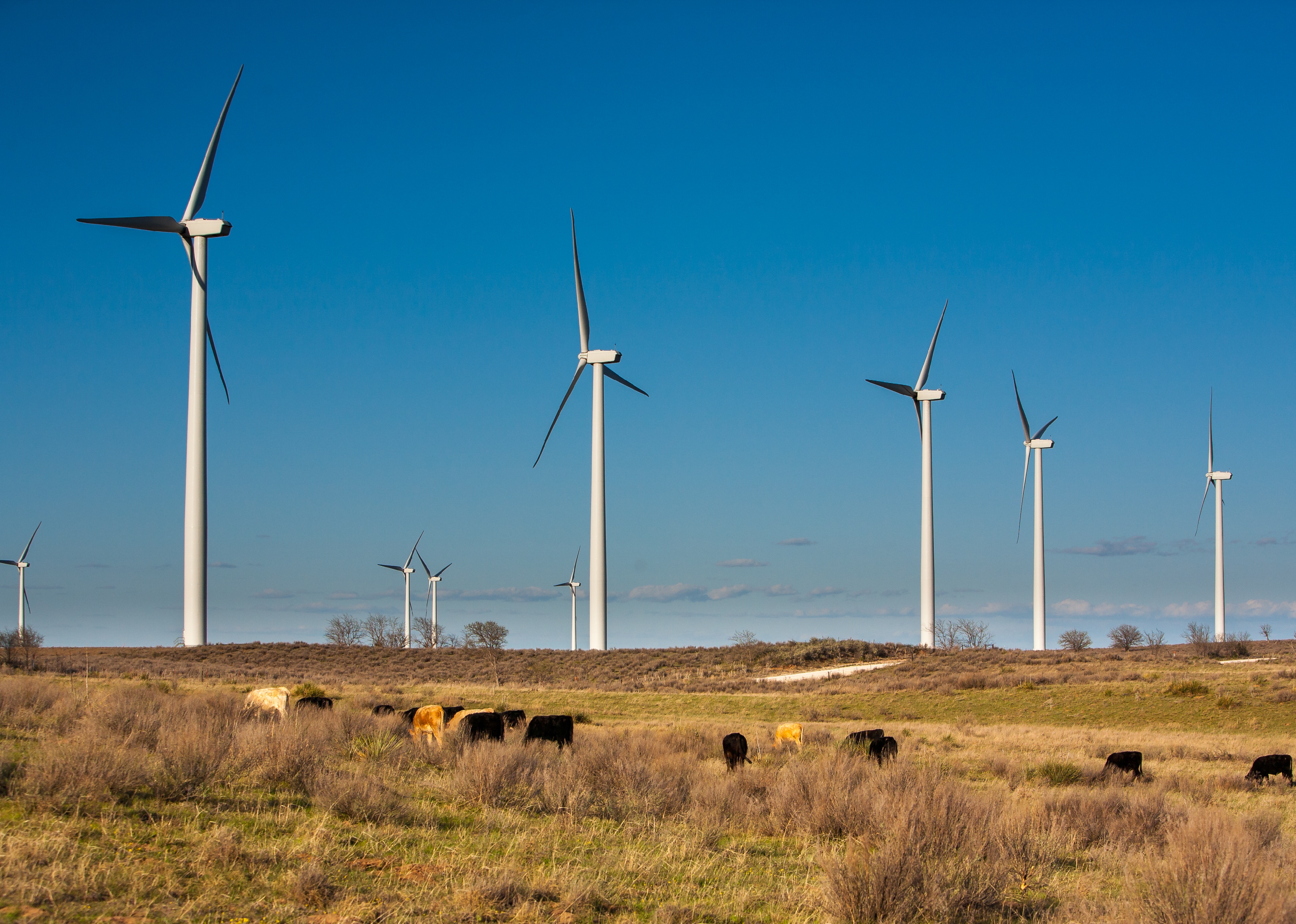 4 ветровые электростанции. Техас Wind Farm. Ветряные электростанции в Америке. Ветряная электростанция Альта. Ветрогенераторы в Америке.