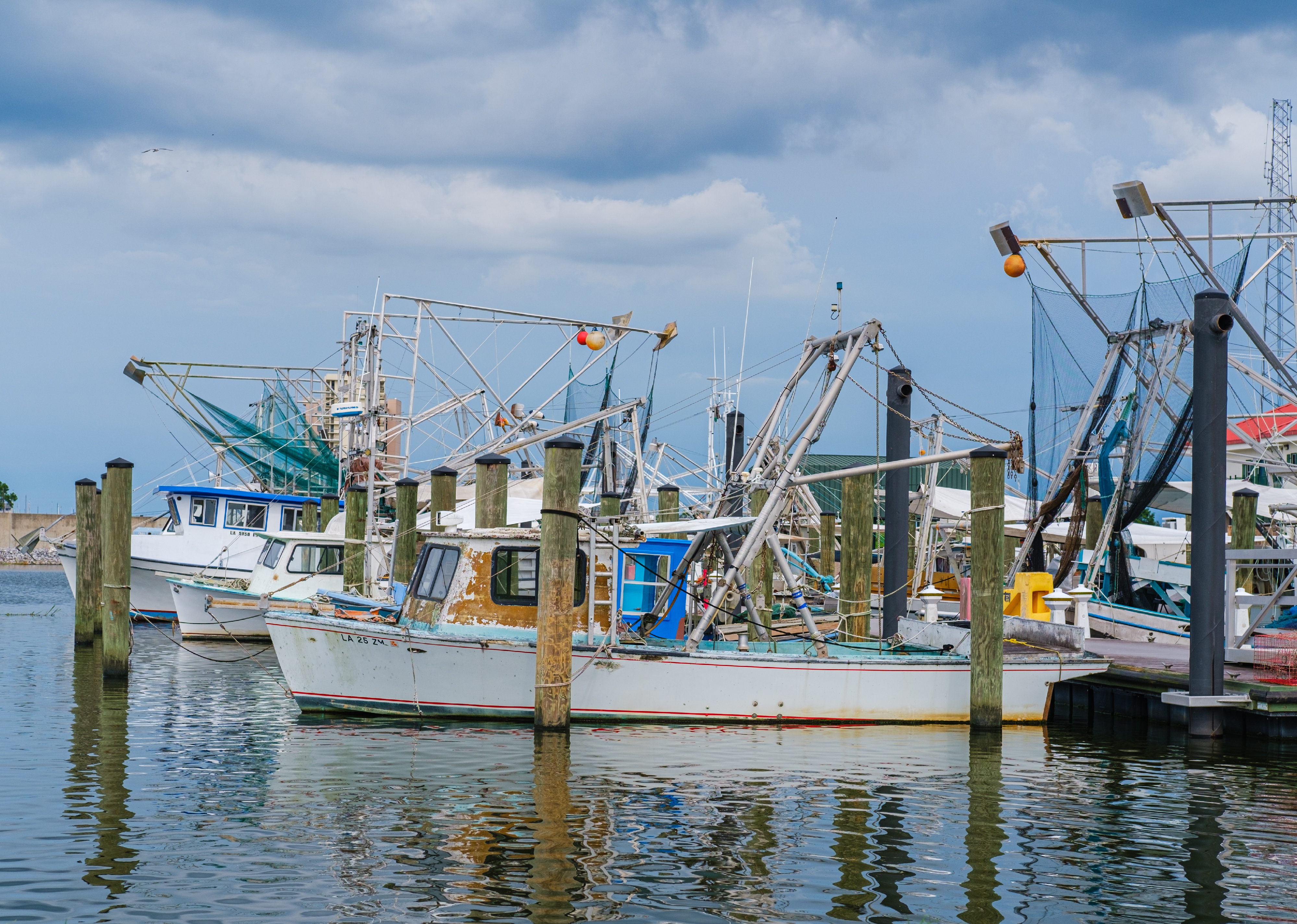 Warmest and Coldest January in Sabine Parish, Louisiana History | Stacker