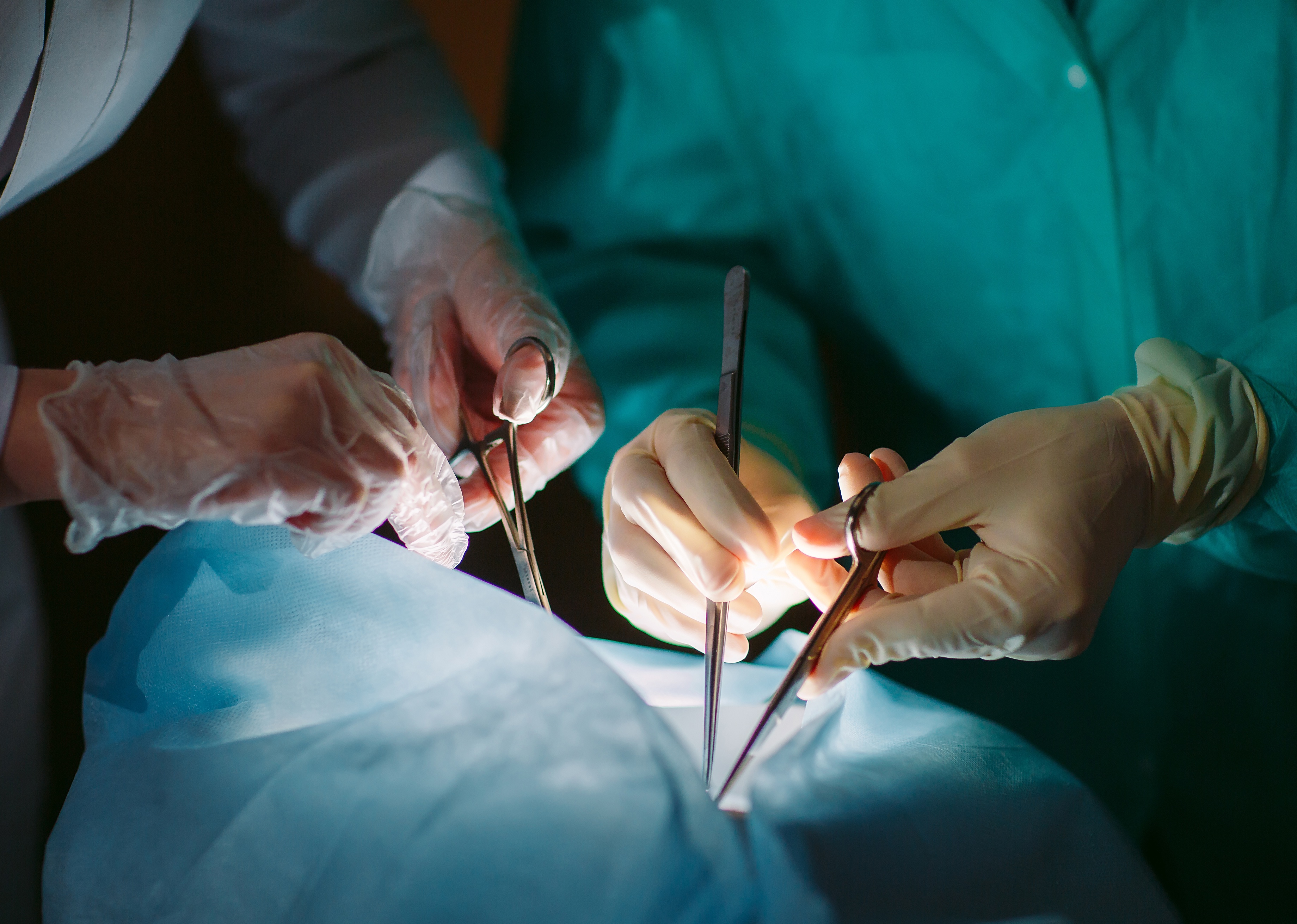 Close-up of hands surgeons holding medical instruments.