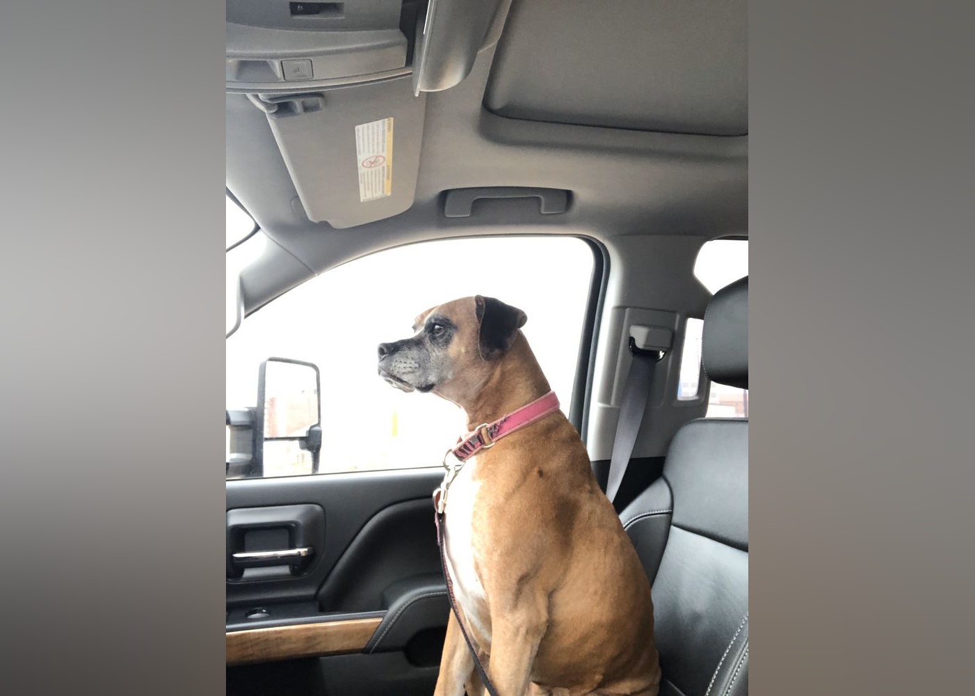 Highestrated Campgrounds in Amarillo, According to Yelp Stacker