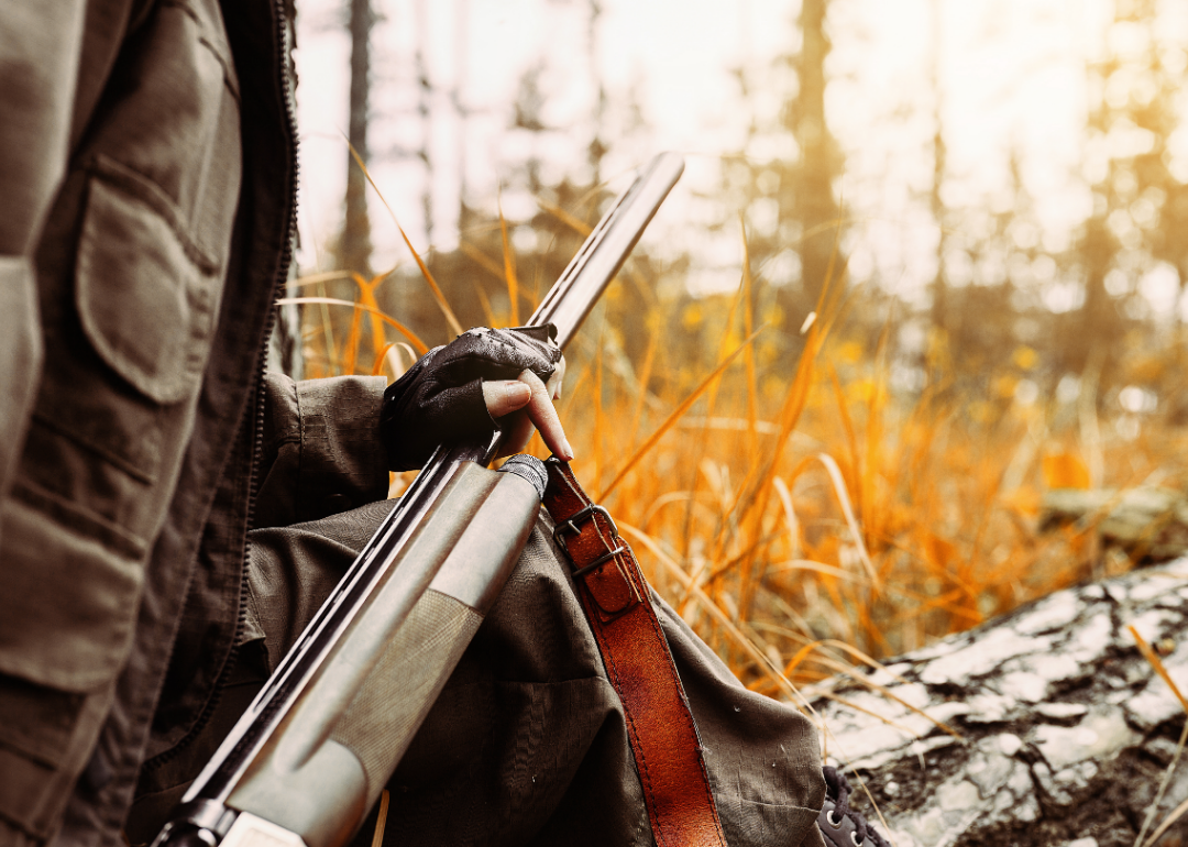 The Number of Registered Hunters in New York | Stacker