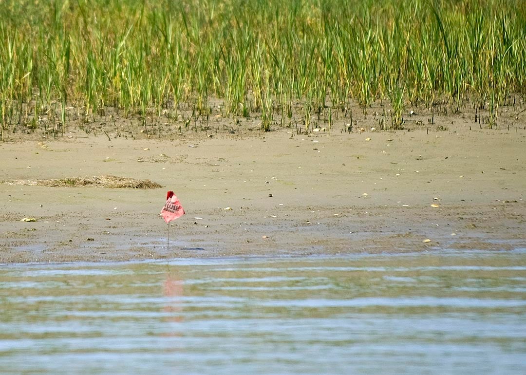 A secret weapon for fighting climate change comes surging back