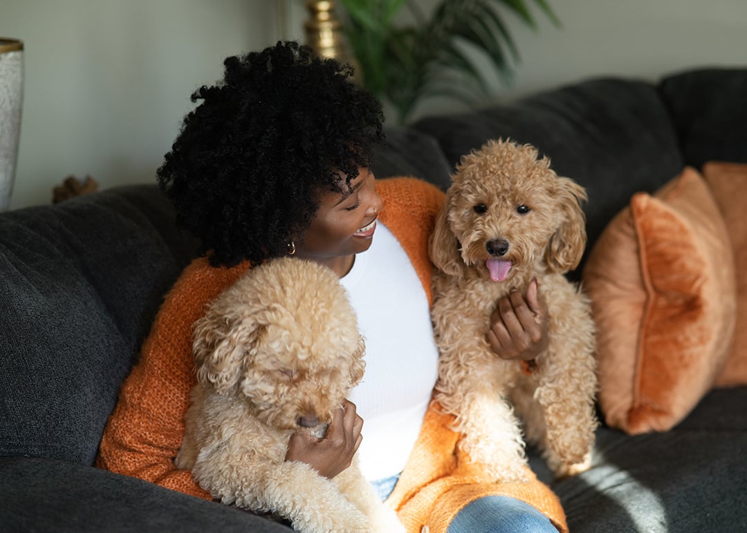 Has the doodle craze gotten out of hand? The truth behind this trendy breed