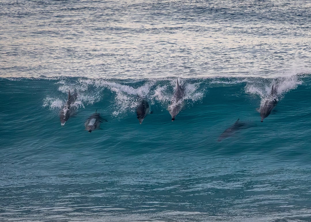 10 off-the-beaten-track Australian destinations worth seeing