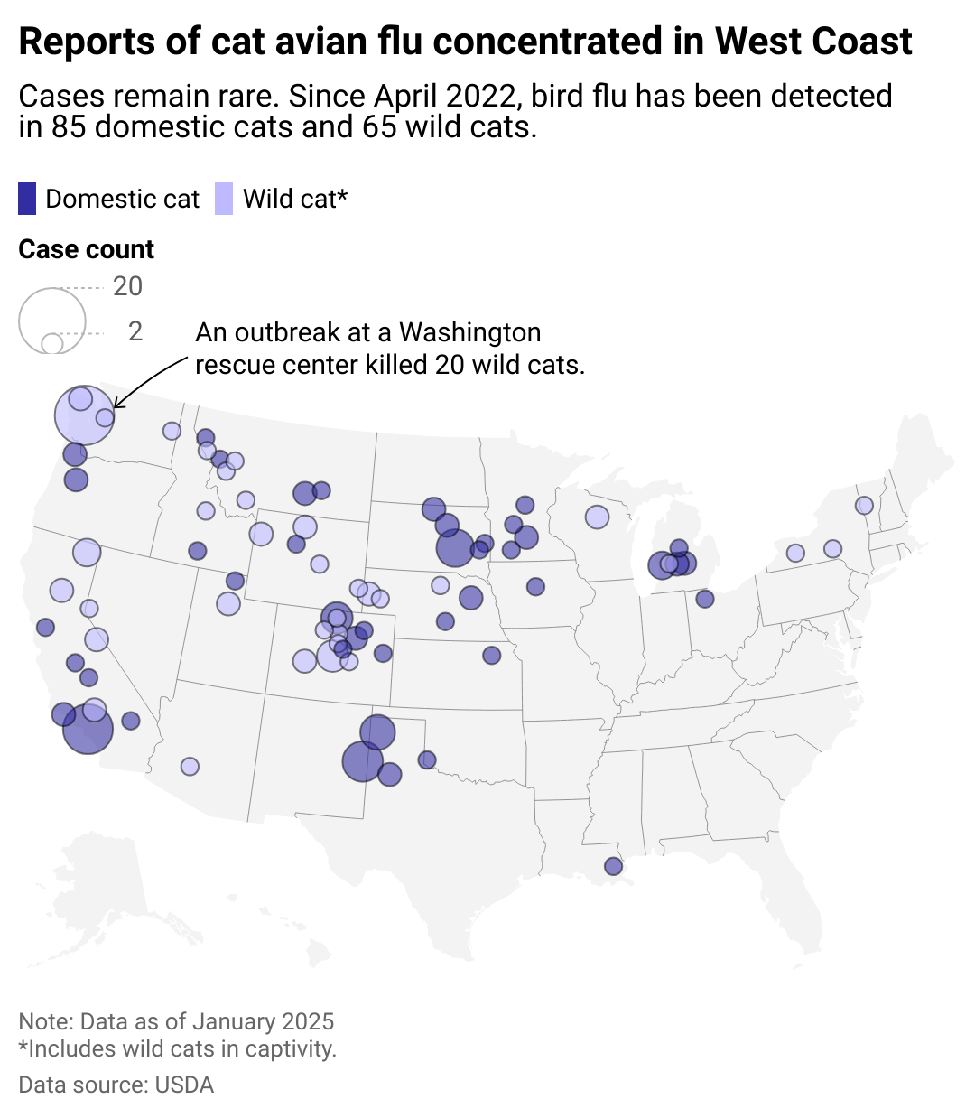 Map showing reports of cat avian flu concentrated in West Coast. Since April 2022, there have been 149 detections of infected cats.