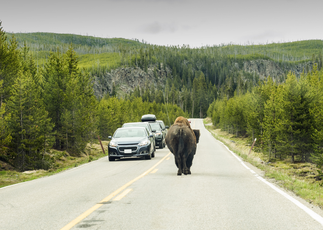 Wyoming is the 5 State With the Fewest Electric Vehicles CoPilot