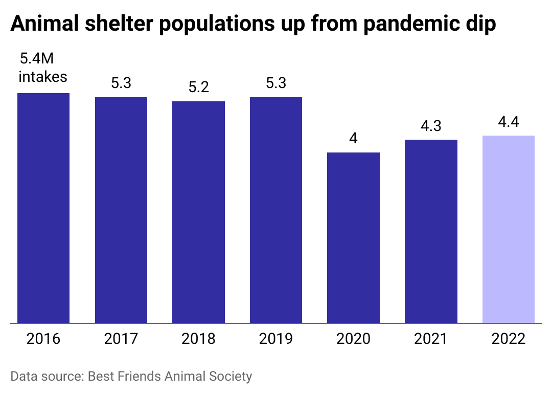 Column chart showing animal shelter populations up from pandemic dip, reaching 4.4 million in 2022.