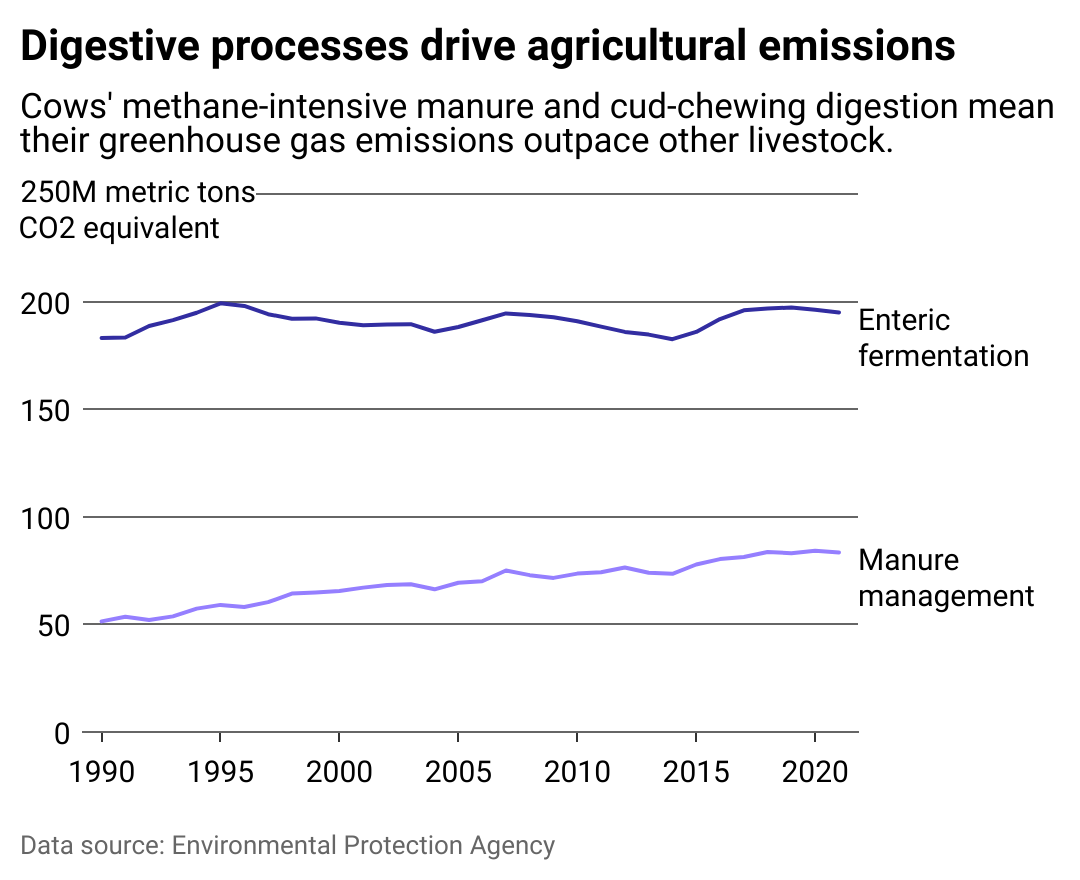Multiline chart showing  US emissions from dairy cattle manure have risen along with swine. A large dairy industry and cows' methane-intensive manure mean dairy cattle greenhoues gas emissions outpace other livestock. 