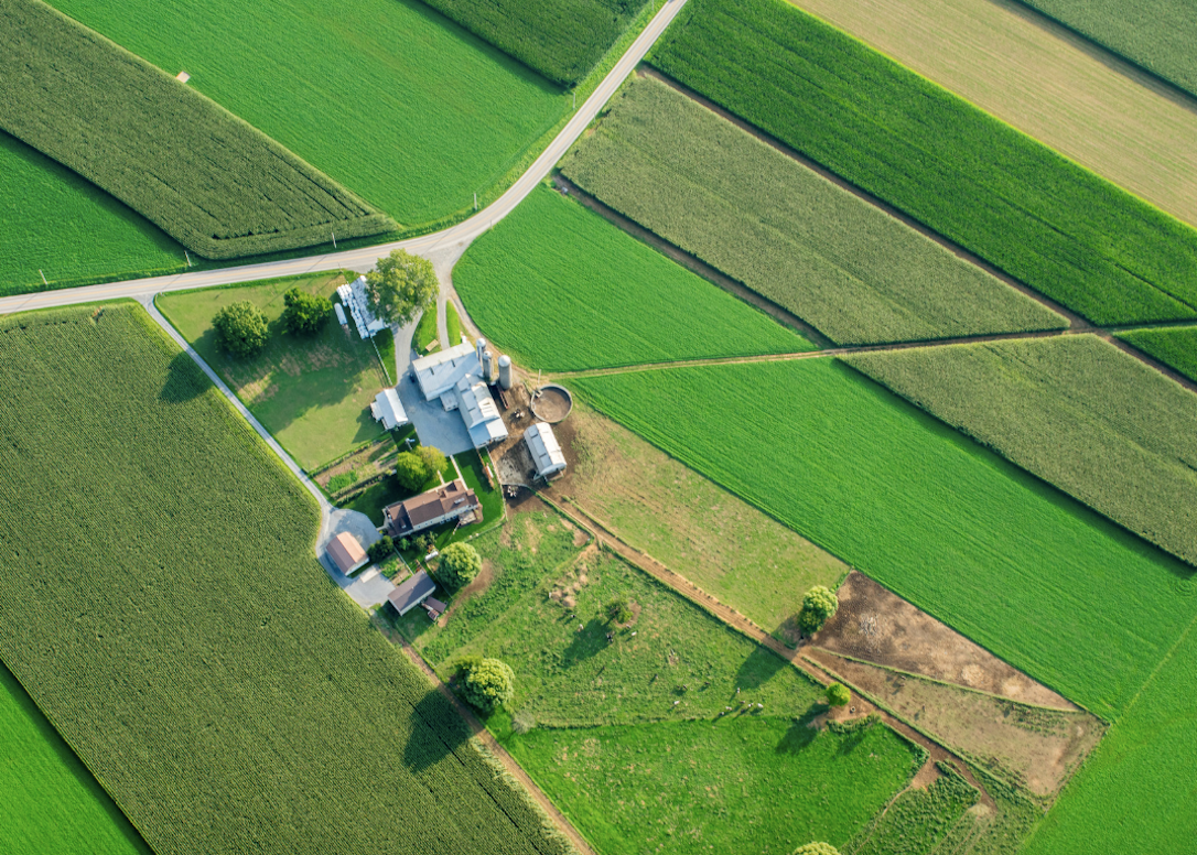 Aerial view of a farm surrounded by green fields