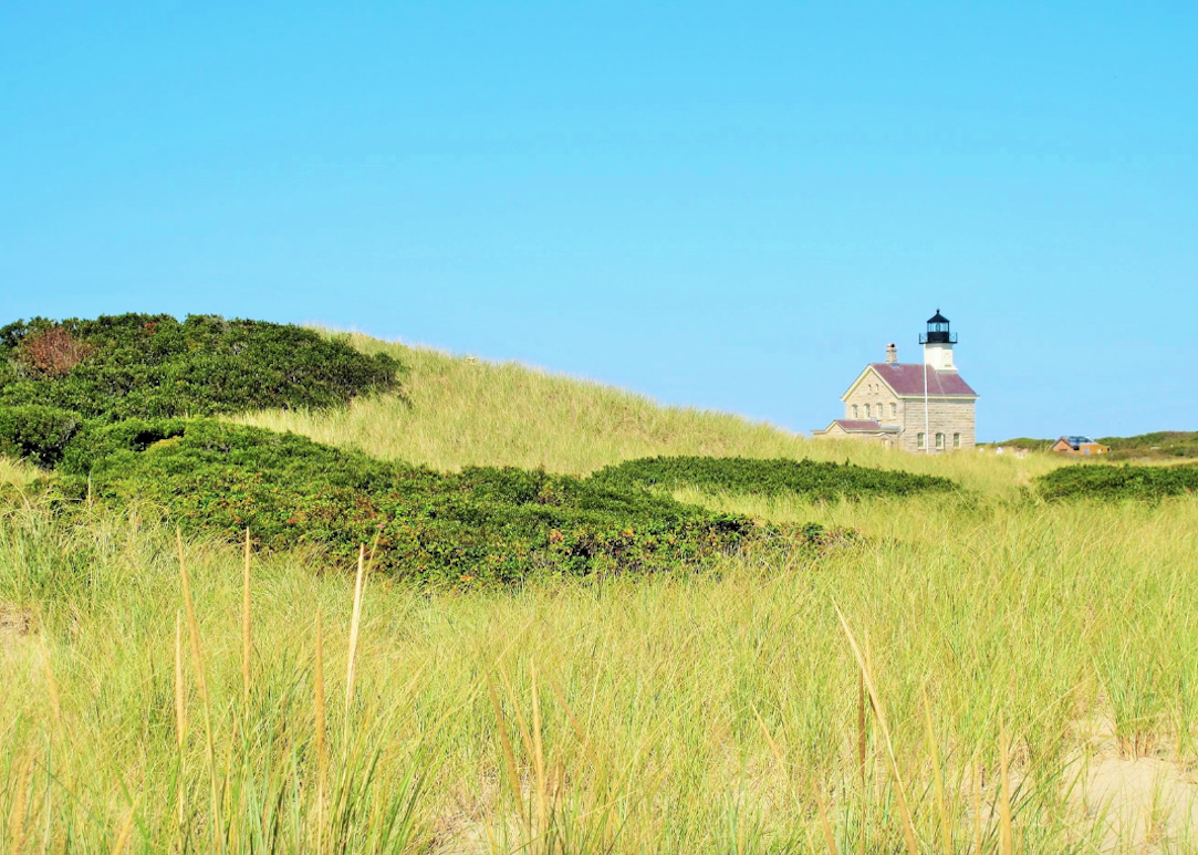 Grassy dune and lighthouse