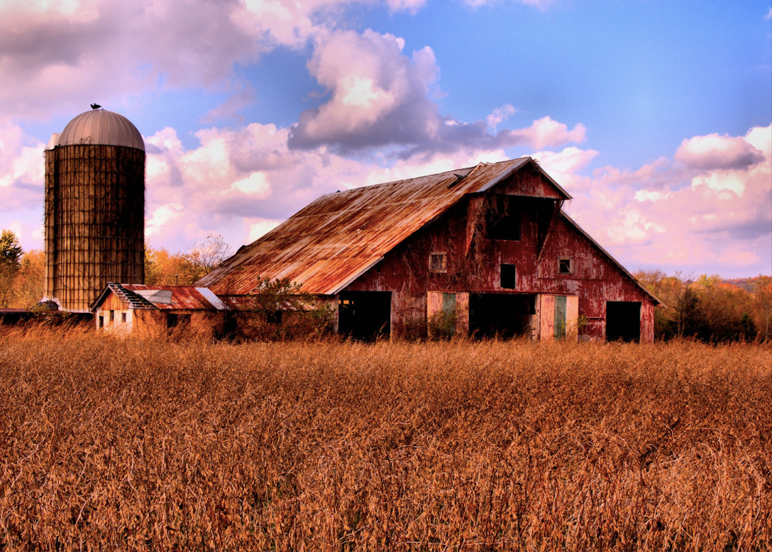 Weathered barn and silo