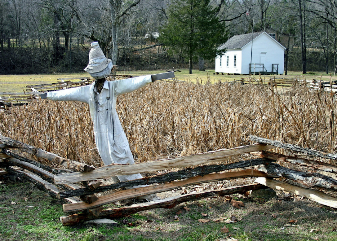 Scarecrow on a farm