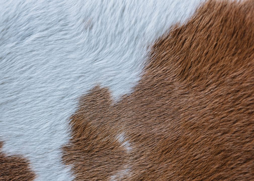 #20. Raw hides and skins (no furskins) and leather
