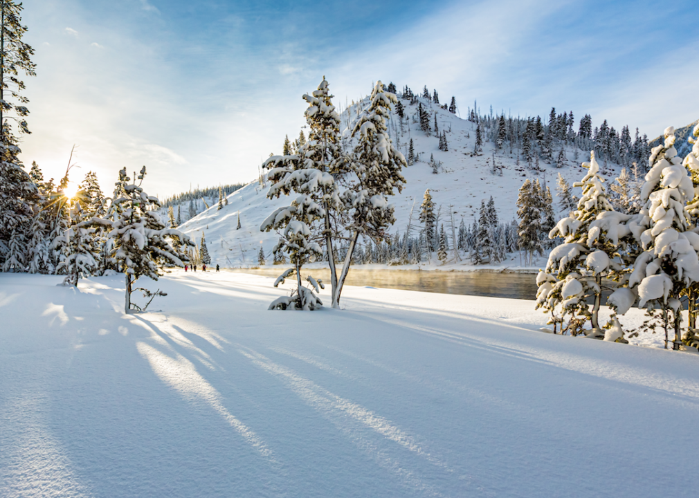A snowy winter landscape.