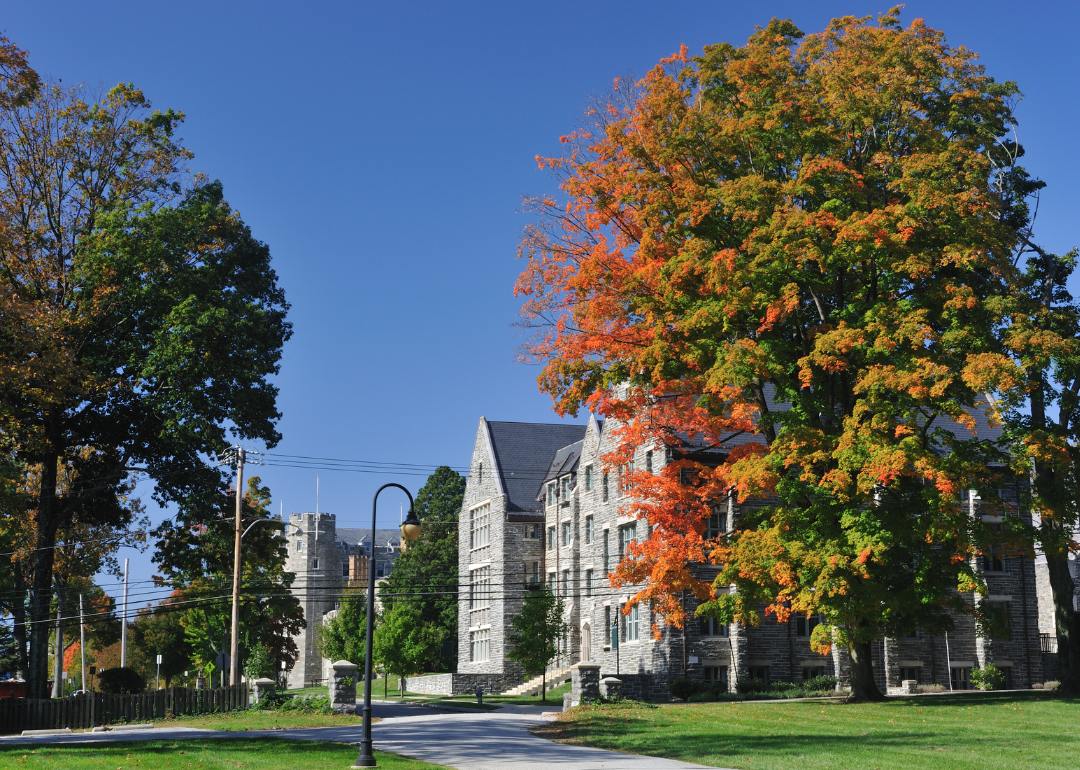 Bryn Mawr in autumn.