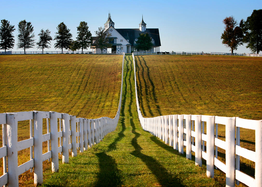 A Kentucky horse farm.