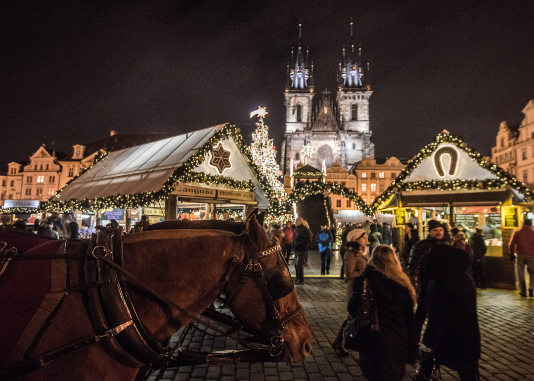 A carriage horse waiting at the Christmas Market at the Old Town Square in Prague.