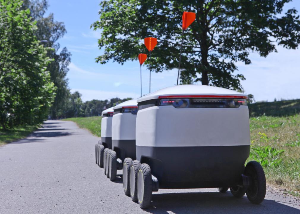 Food delivery robots on pathway.