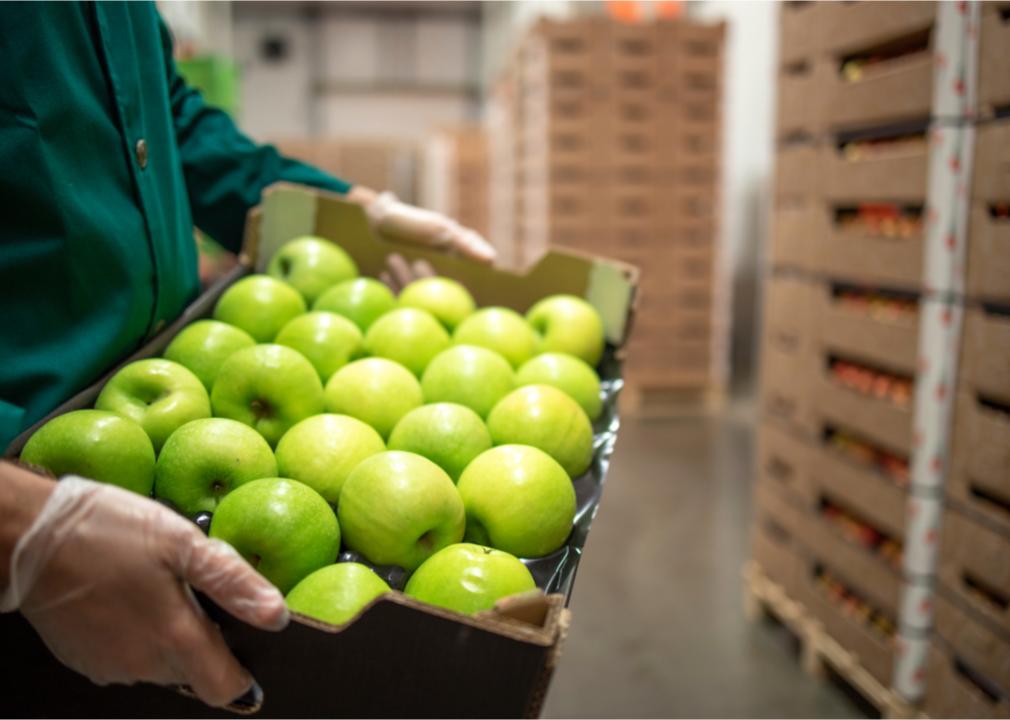 Worker holding crate of apples