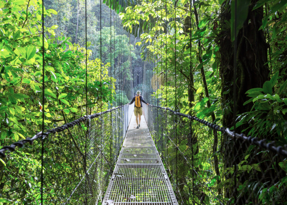 Person hiking in rainforest of Costa Rica.