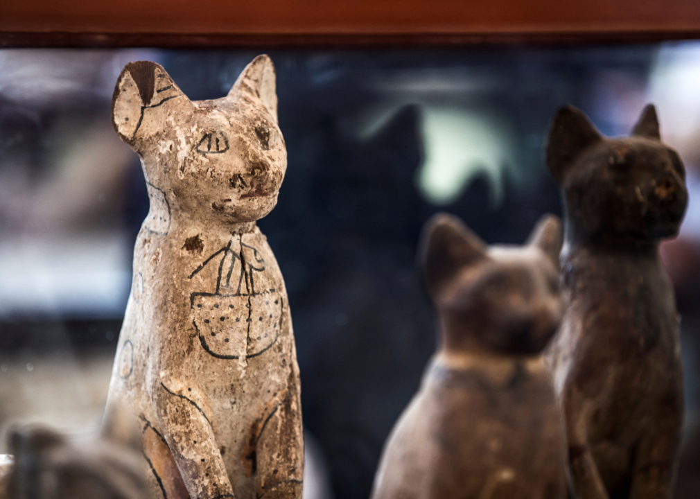 Cat statues from Giza's Saqqara necropolis