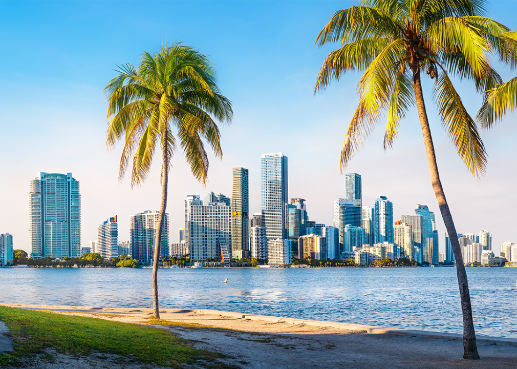 Miami skyline with palm trees.