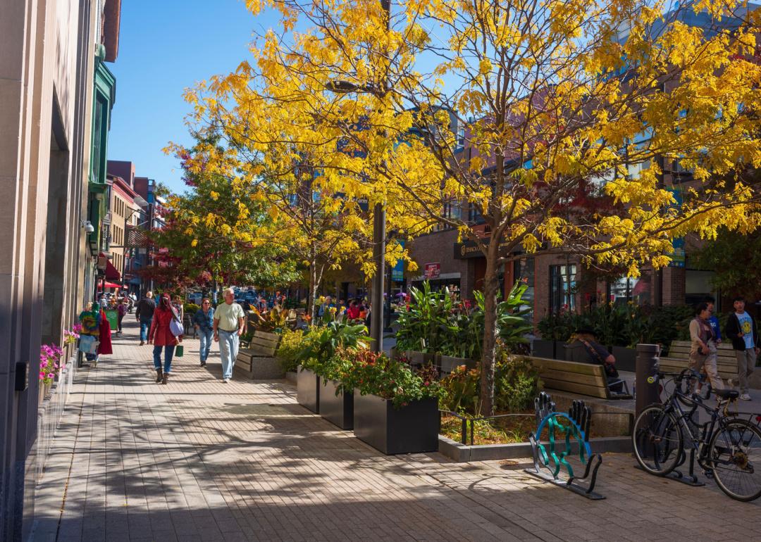 Downtown Ithaca Commons pedestrian mall.
