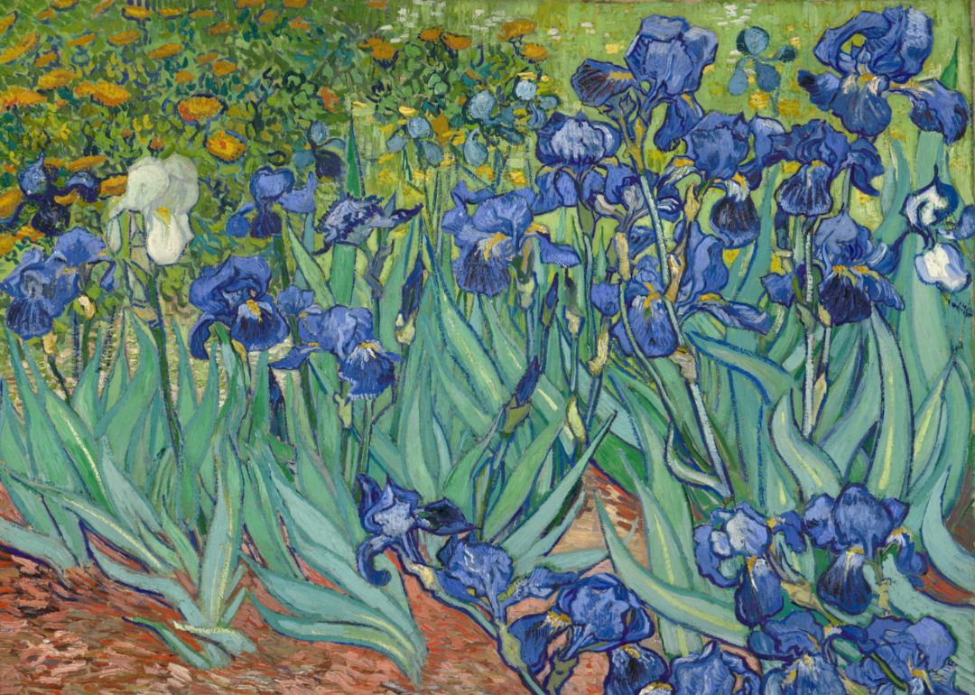 ‘Irises’ by Vincent van Gogh.
