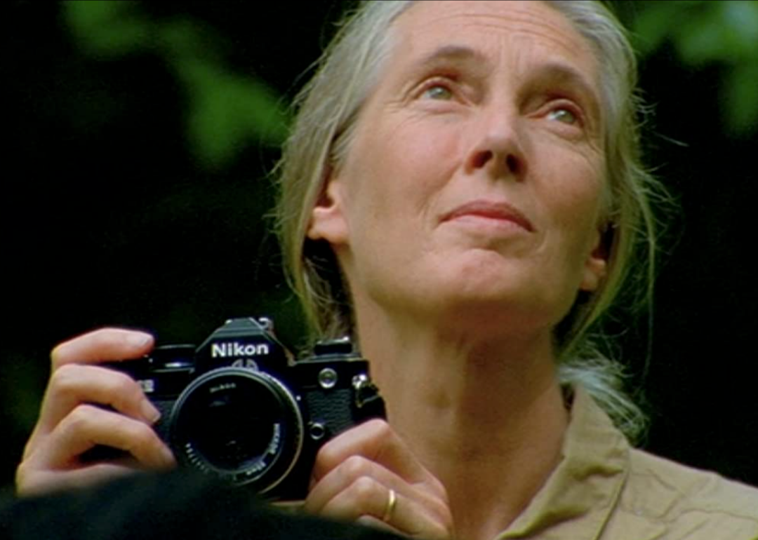 Jane Goodall in ‘Jane’.