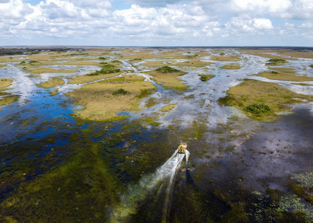 An airboat hovering over Everglades wetlands.