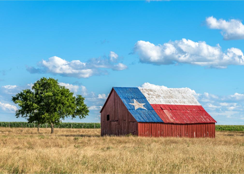 Rural barn painted with Texas flag.