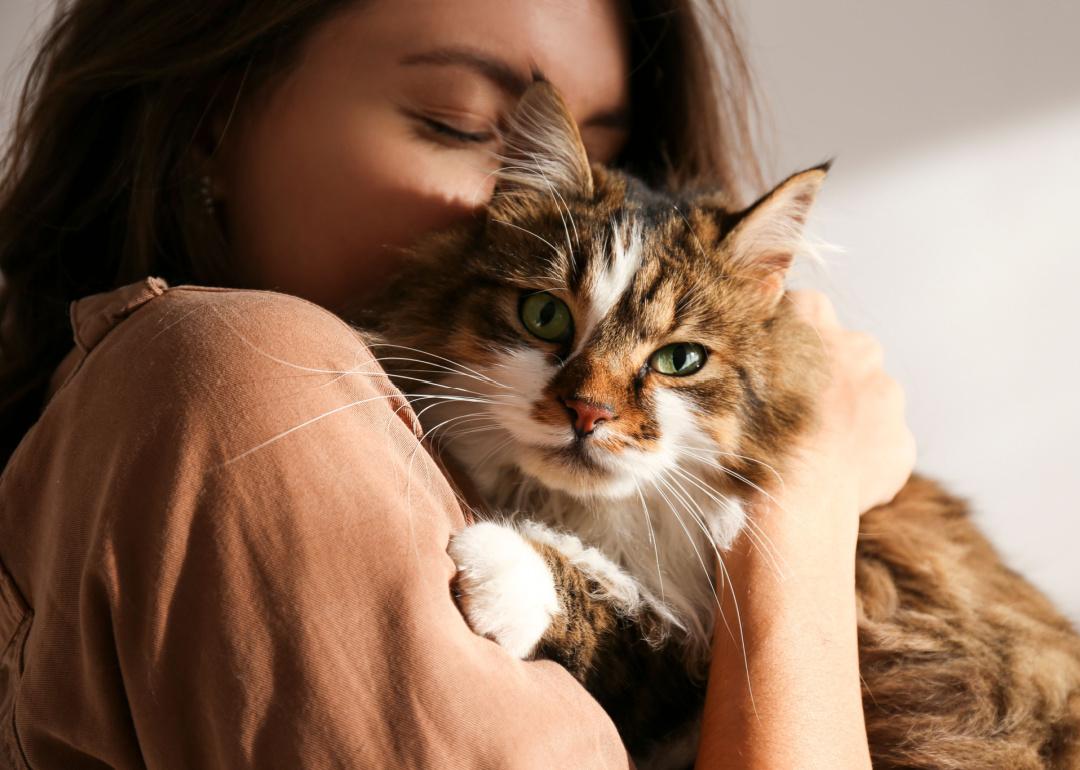 Woman holding Siberian cat