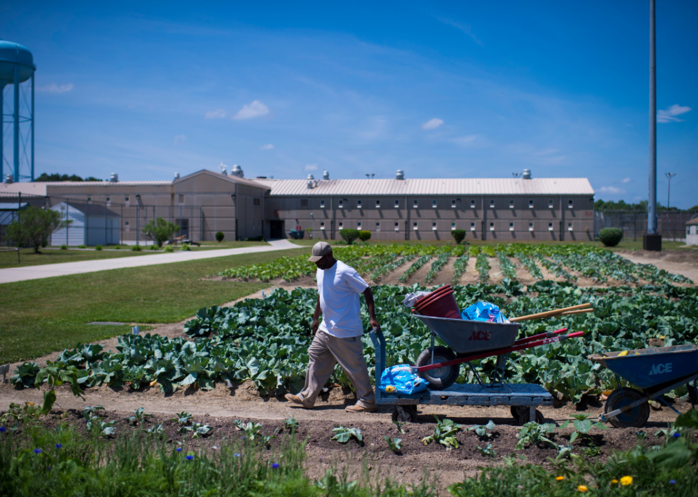 People work in garden at correctional institute