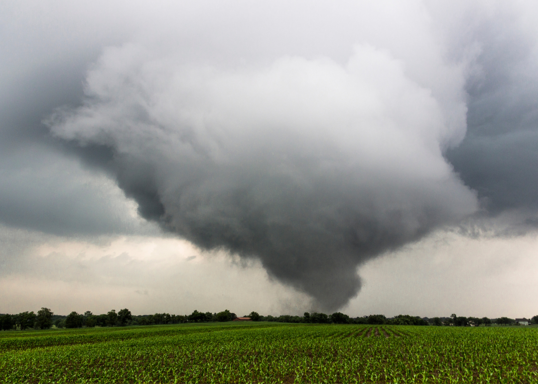 Stacker compiled a list of the biggest tornadoes in Georgia over the past decade using data from NOAA.