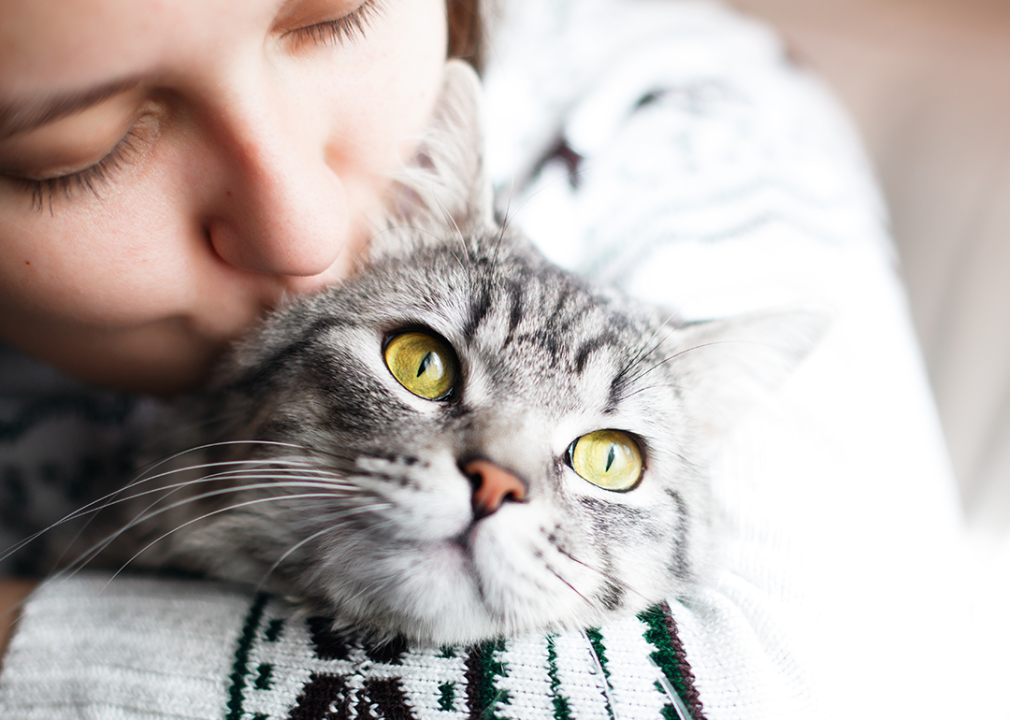 A woman holding a gray cat who she is kissing on the head.