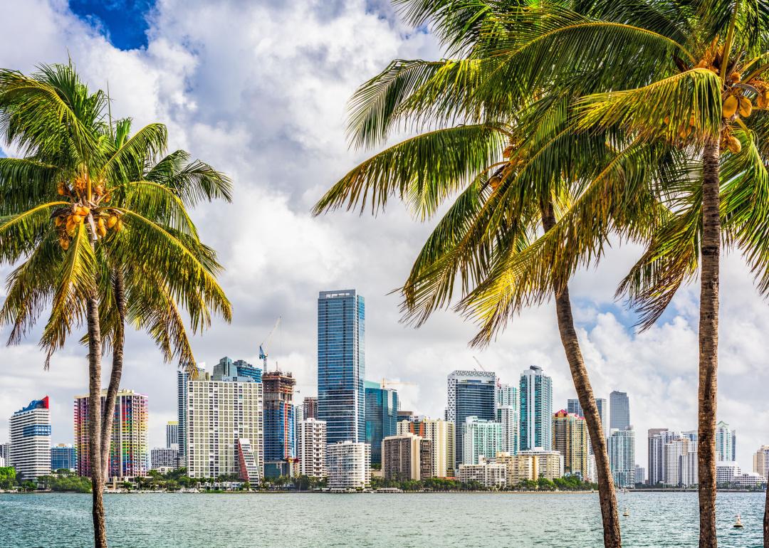 Skyline of Miami with palm trees.