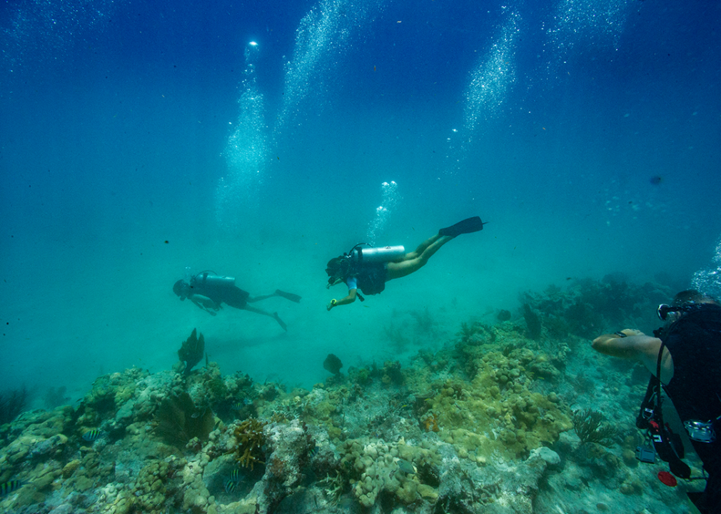 Divers swim around a coral reef in Key West.