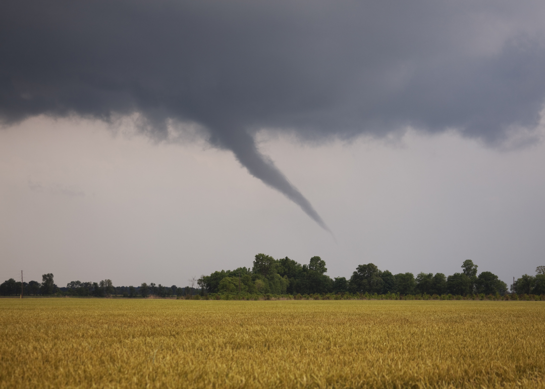 Stacker compiled a list of the biggest tornadoes in Georgia over the past decade using data from NOAA.