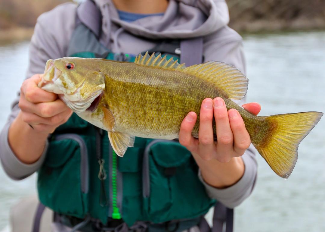 Record fish caught in Missouri