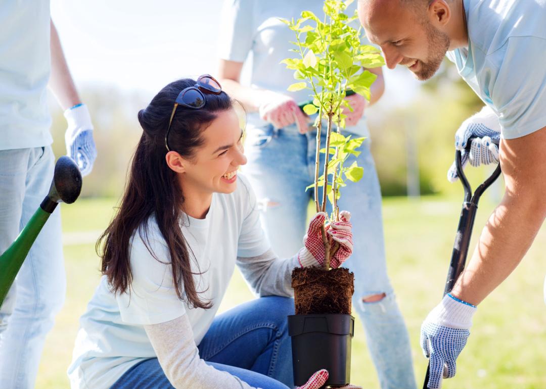 Volunteers planting trees in park.